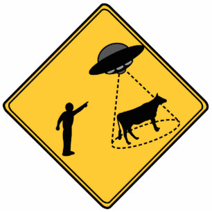 Road Sign- Cow and UFO Photo Sculpture Magnet