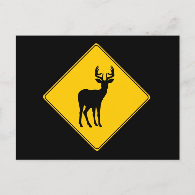 Road Sign- Deer Postcard (Front)
