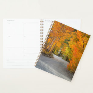 Road Through Autumn Aspens Planner