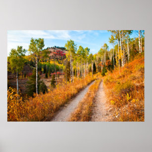 Road Through Autumn Colors Poster