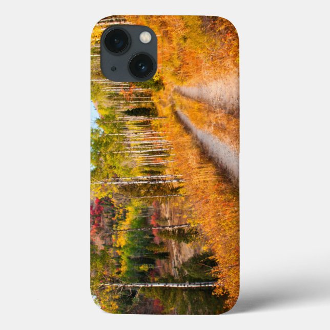 Road Through Autumn Colours Case-Mate iPhone Case (Back)