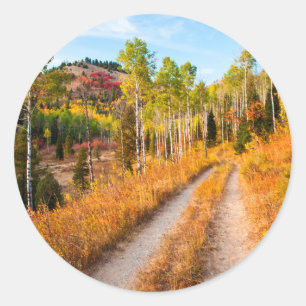 Road Through Autumn Colours Classic Round Sticker