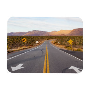 Road Through Joshua Tree National Park Magnet