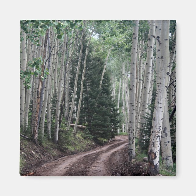 Road Through the Birch Magnet (Front)