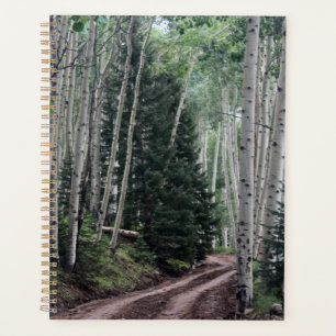 Road Through the Birch Planner