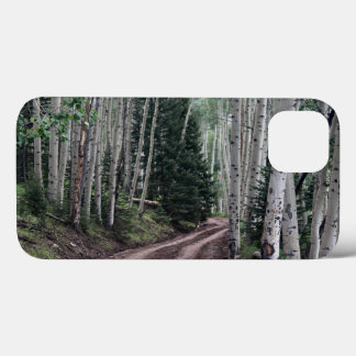 Road Through The Birch Trees iPhone Cases