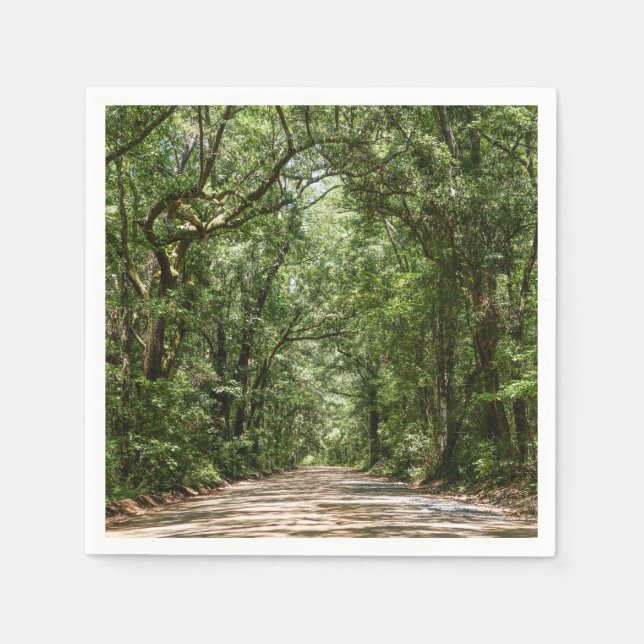 Road To Angel Oak Napkin (Front)