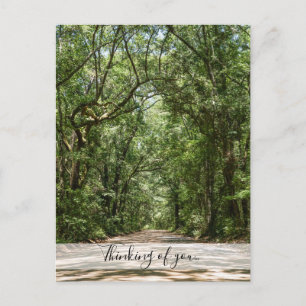 Road To Angel Oak Thinking Of You Postcard
