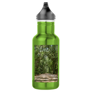 Road To Angel Oak Water Bottle