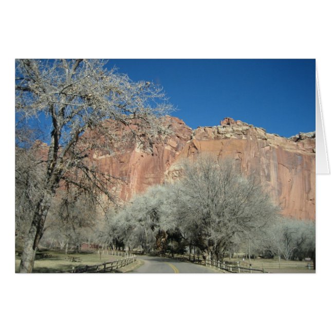 Road to Gardens (Front Horizontal)