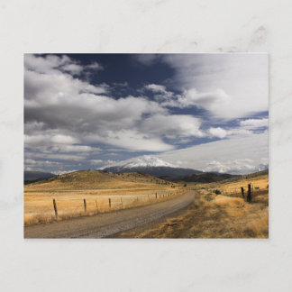 Road to MyShasta Postcard