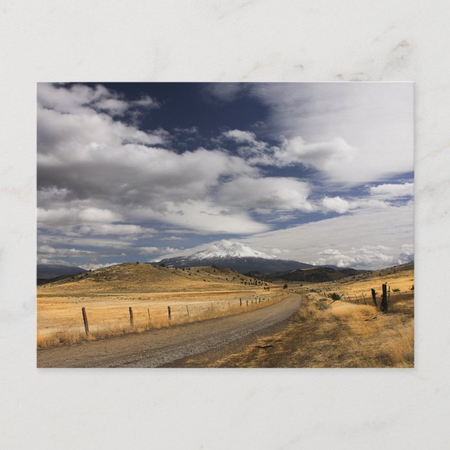 Road to MyShasta Postcard (Front)