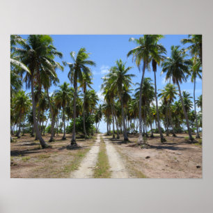 Road to paradise Rangiroa Poster