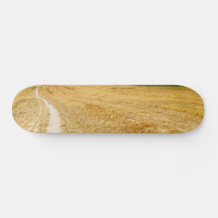 Road to Sansol Skateboard