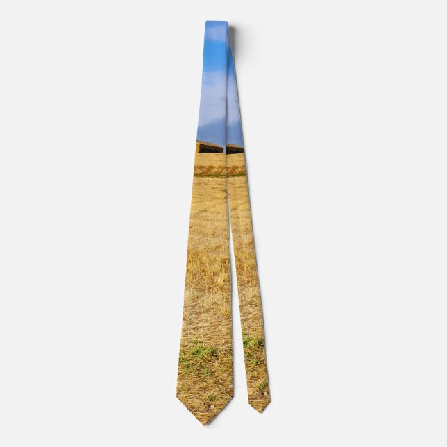 Road to Sansol Tie (Front)