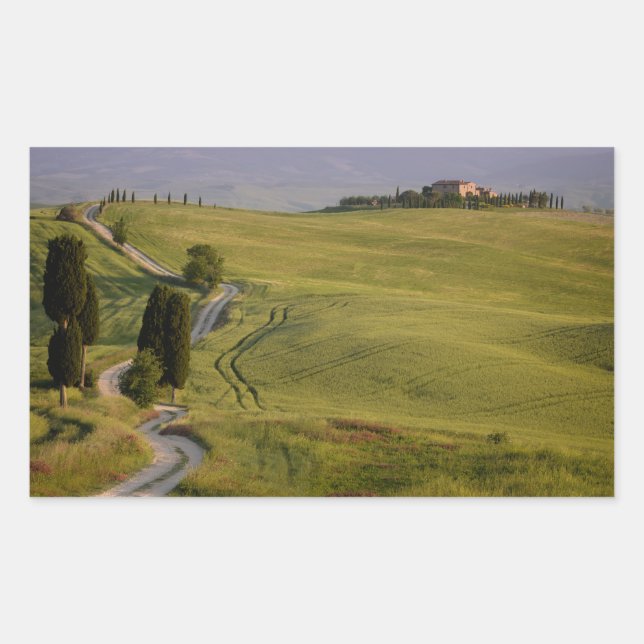 Road to Terrapille in Tuscany rectangular sticker (Front)