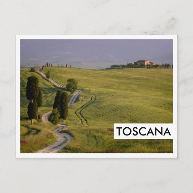 Road to Terrapille in Tuscany, Toscana Postcard (Front)