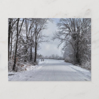 Road to Winter Postcard