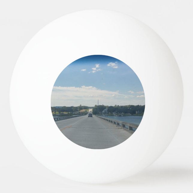 road trip ping pong ball (Front)