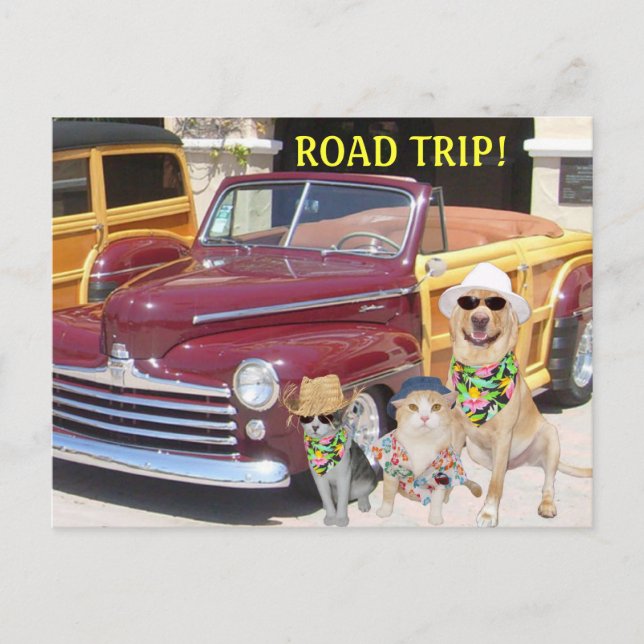 ROAD TRIP! POSTCARD (Front)