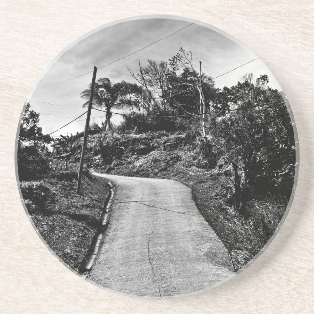 road up high coaster (Front)