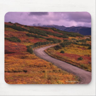 Road Winding Through Hills in Denali National Mouse Mat