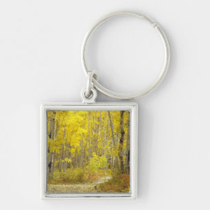 Road with autumn colours and aspens in Kebler 2 Key Ring