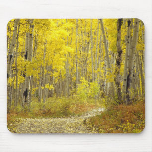 Road with autumn colours and aspens in Kebler 2 Mouse Mat