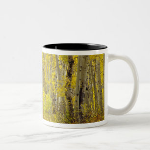 Road with autumn colours and aspens in Kebler 2 Two-Tone Coffee Mug