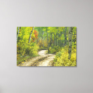 Road with autumn colours and aspens in Kebler Canvas Print