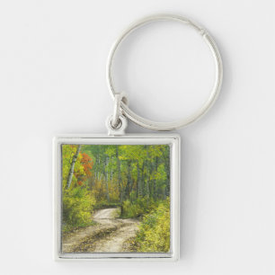 Road with autumn colours and aspens in Kebler Key Ring
