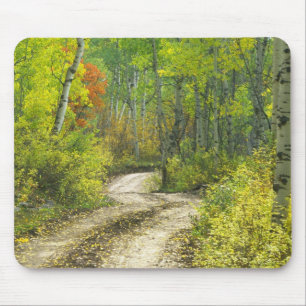 Road with autumn colours and aspens in Kebler Mouse Mat