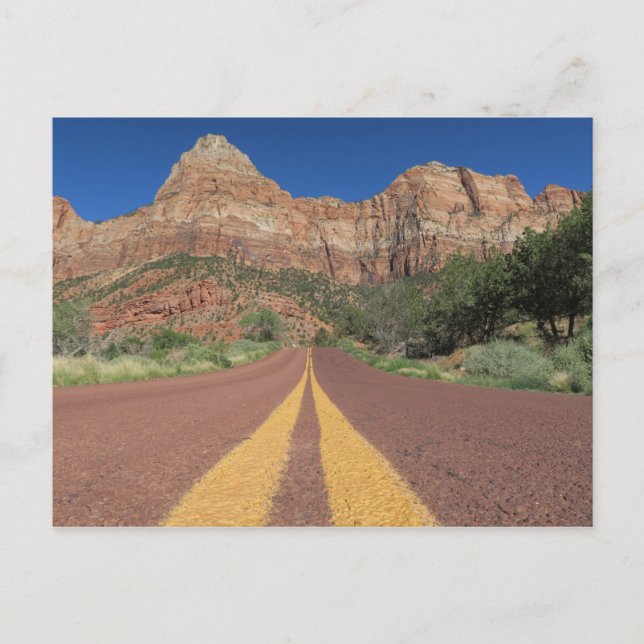 Road Zion National Park USA Postcard (Front)
