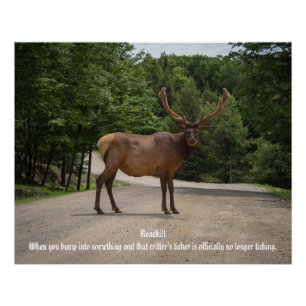 Roadkill  poster