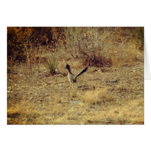 Roadrunner Blank Greeting Card + White Envelope