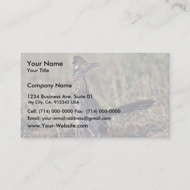Roadrunner Business Card (Front)