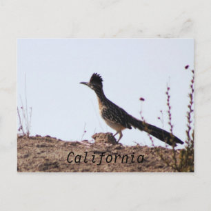 RoadRunner California postcard
