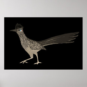 Roadrunner Coloured Pencil drawing on black Poster