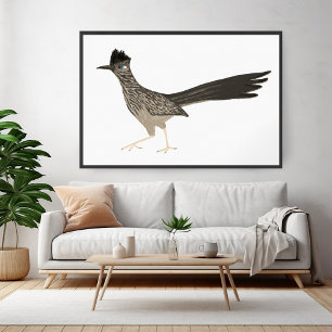 Roadrunner Coloured Pencil drawing on white Poster