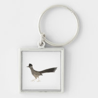 Roadrunner cool bird illustration