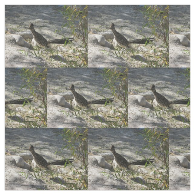 Roadrunner Fabric (Swatch)