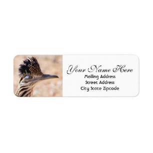 Roadrunner Face Return Address