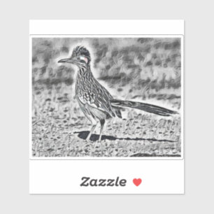 Roadrunner Sketch