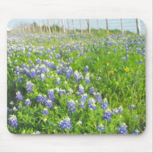 Roadside Bluebonnets Mouse Mat