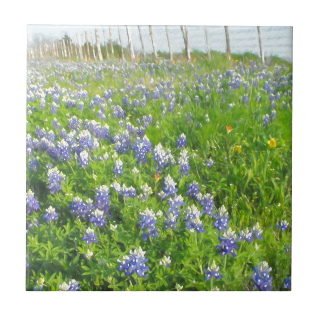 Roadside Bluebonnets Tile (Front)