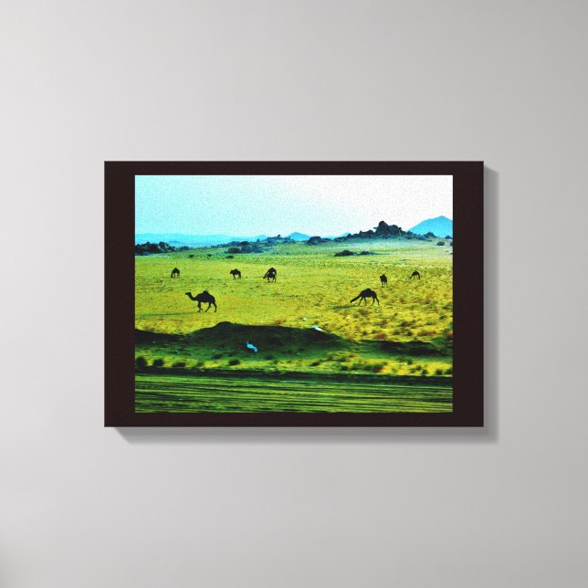 Roadside Camels Canvas Print (Front)