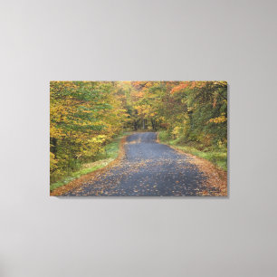 Roadside fall foliage, Southern Vermont, USA Canvas Print