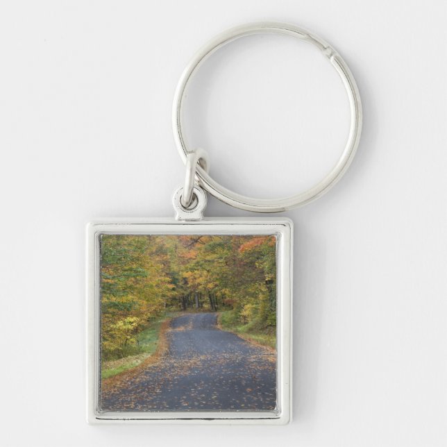 Roadside fall foliage, Southern Vermont, USA Key Ring (Front)