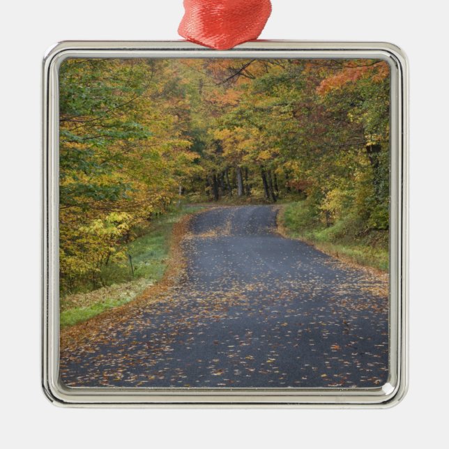 Roadside fall foliage, Southern Vermont, USA Metal Tree Decoration (Front)