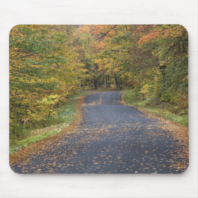 Roadside fall foliage, Southern Vermont, USA Mouse Mat (Front)